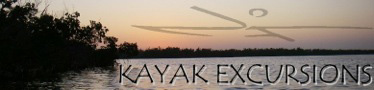 Kayak Excursions